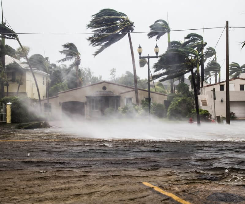 A flooded street lined with palm trees, showcasing the impact of heavy rainfall in an urban environment.